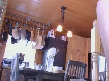 Cam4 Live Porn of STEFF165