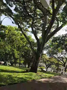 Cam4 Best Webcam of grandeygruesa1