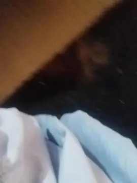 Cam4 Sex Cam of tiago23hot