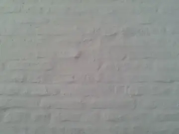 Cam4 Free Porn Cam of Matiasvc37