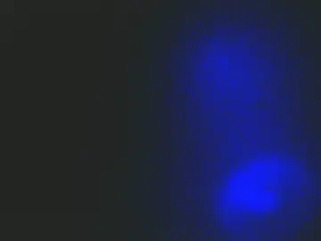 Cam4 Private Sex Chat of lovehotstuff