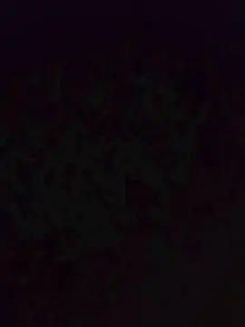 Cam4 Adult Webcams of Paudosteusonho