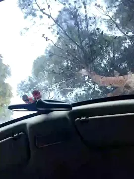 Cam4 Free Live Porn of Reymysterio5