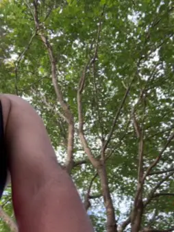 Cam4 Free Porn Cam of tornado180