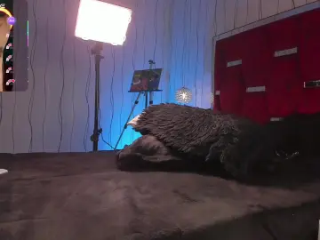 Cam4 Free Porn Cam of Brat__