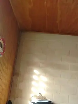 Cam4 Adult Webcam of andr2321