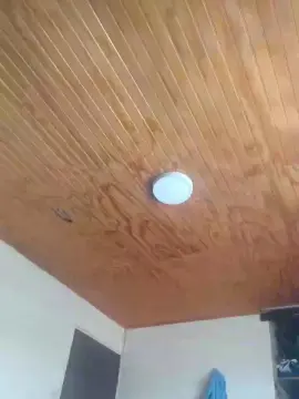 Cam4 Adult Webcams of andr2321