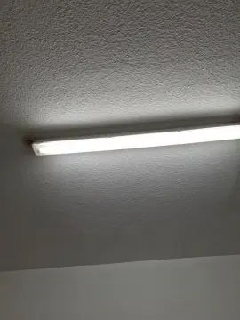 Cam4 Watch Live Sex Cams of callmem1