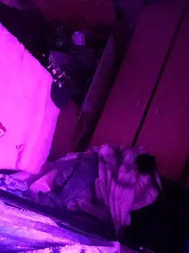 Cam4 Adult Webcam of physicssexpert