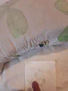 Cam4 Best live sex cam show of Atraccion077