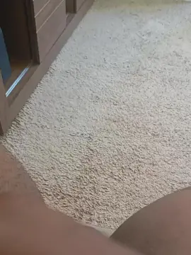 Cam4 Free Porn Cam of oliver922