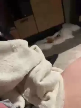 Cam4 Live Sex of boellie1