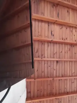 Cam4 Free Live Porn of M338372801988