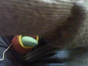 Cam4 Private Sex Chat of sachis