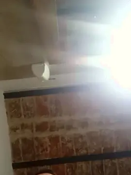 Cam4 Free Live Porn of Luch2026