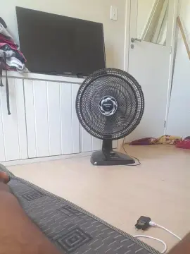 Cam4 Sex Chat of brferreira71