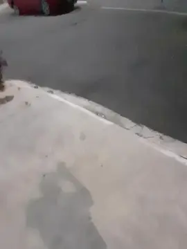 Cam4 Best Webcam of brferreira71