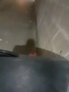 Cam4 Free Porn Cam of brferreira71