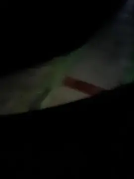 Cam4 Sex Chat of brferreira71