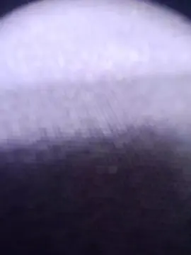 Cam4 Nude Webcam of paulo_cam24