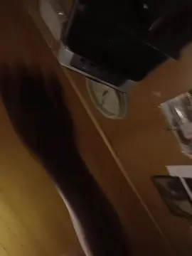 Cam4 Watch Live Sex Cams of Donrerebello