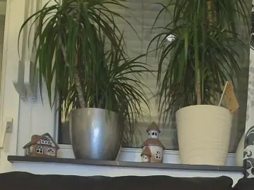 Cam4 Sex Cam of breed_me_pls