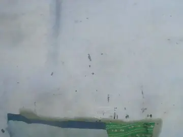 Cam4 Sex Chat of yas5001