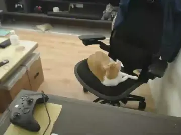 Cam4 Adult Video Chat of i1toFQ