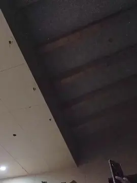 Cam4 Best Webcam of Nativo8