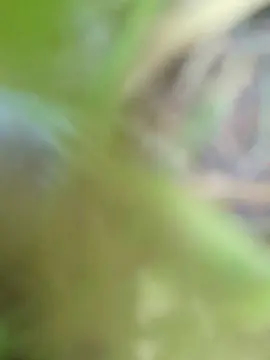 Cam4 Adult Webcam of Diablasexx