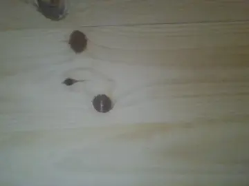 Cam4 Free Porn Cam of pepp9999