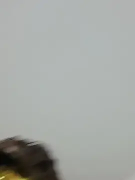 Cam4 Live Sex Cam of Masxcara