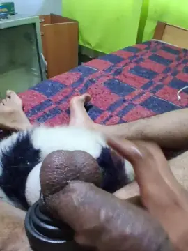 Cam4 Live Porn of elpalpitante