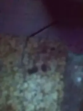 Cam4 Live Sex Cam of nicolas2246