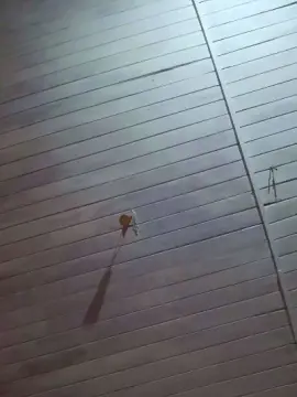 Cam4 Watch Live Sex Cams of Guillermo1982