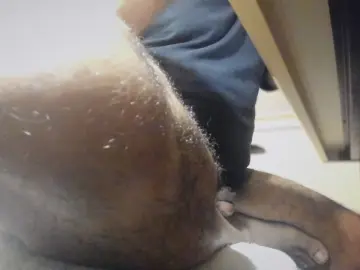 Cam4 Best live sex cam show of ZenBlack