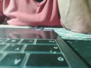 Cam4 Live Sex of lalaledwt