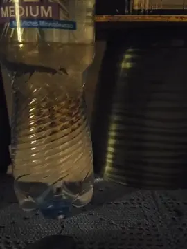 Cam4 Free Live Porn of passiv82