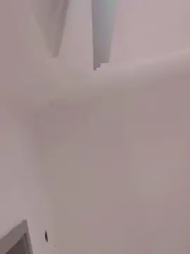 Cam4 Adult Webcam of ervinsaraci20g1