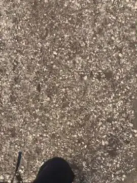 Cam4 Watch Live Sex Cams of vampirexslayerx