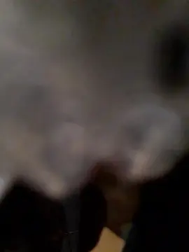 Cam4 Nude Webcam of carlosyleonor23