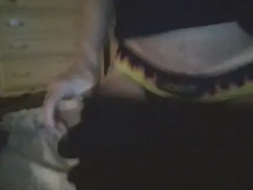 Cam4 Adult Webcams of clos2008