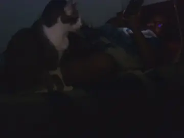 Cam4 Watch Live Sex Cams of Dickpussyeater