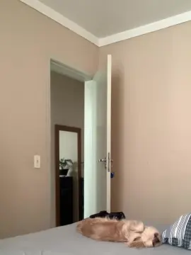 Cam4 Adult Video Chat of DiegoLoirin