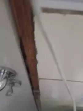 Cam4 Sex Chat of criasss