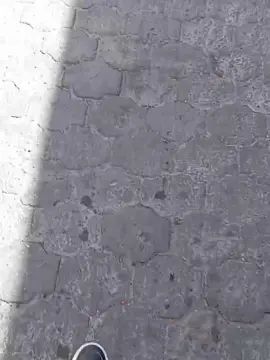 Cam4 Best live sex cam show of quetx