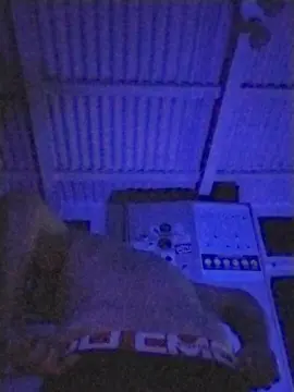 Cam4 Nude Webcam of eltorotano