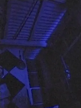 Cam4 Adult Video Chat of eltorotano