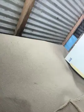 Cam4 Free Porn Cam of Cami_04