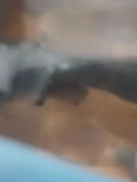 Cam4 Live Sex of Blads